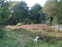 Klik op de foto voor groter formaat